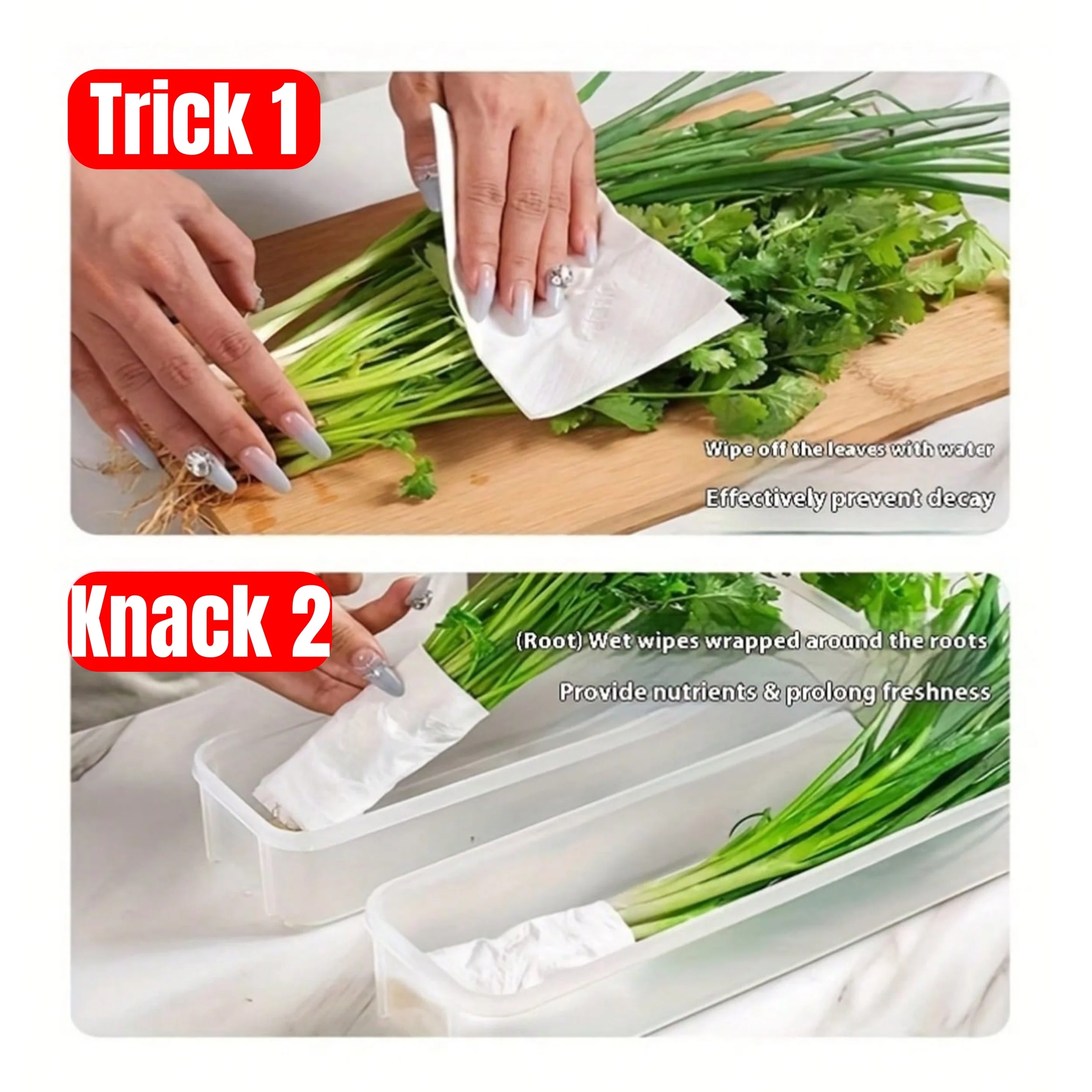 Sealed Fridge Storage Box with Lid - Image 5